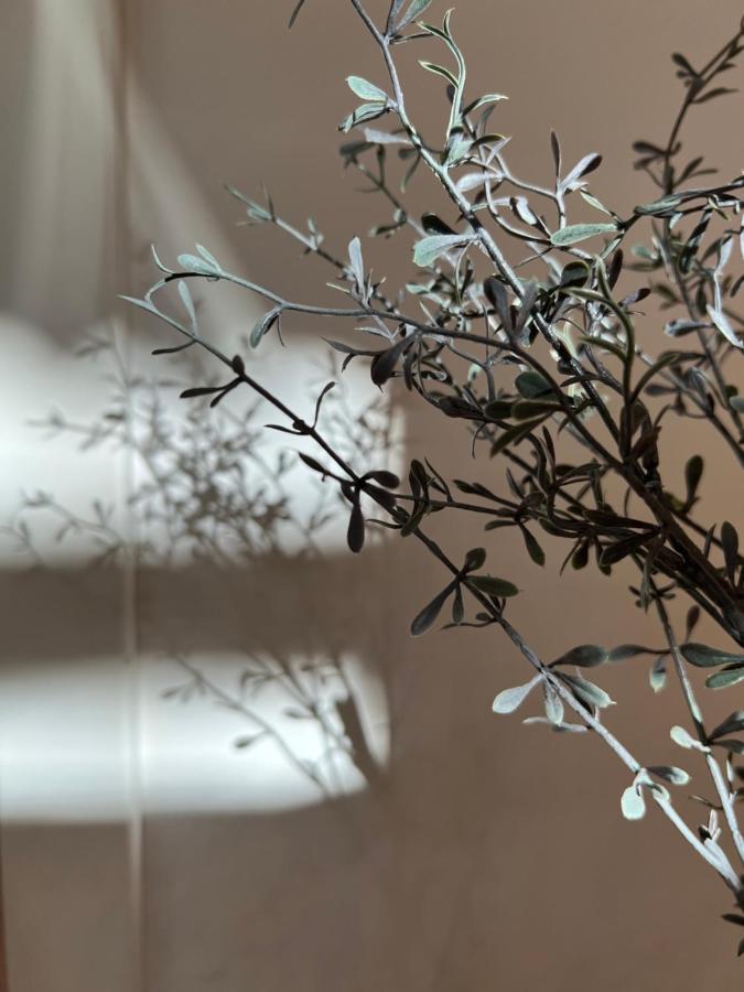Sparkling Time Apartman Hajdúszoboszló المظهر الخارجي الصورة